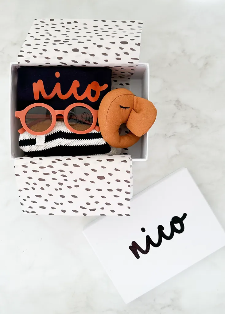 IMG_0587_jpg copiar.webp