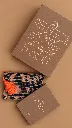 Imagem do Codex 6 de set. de 2026, 17_39_39.webp